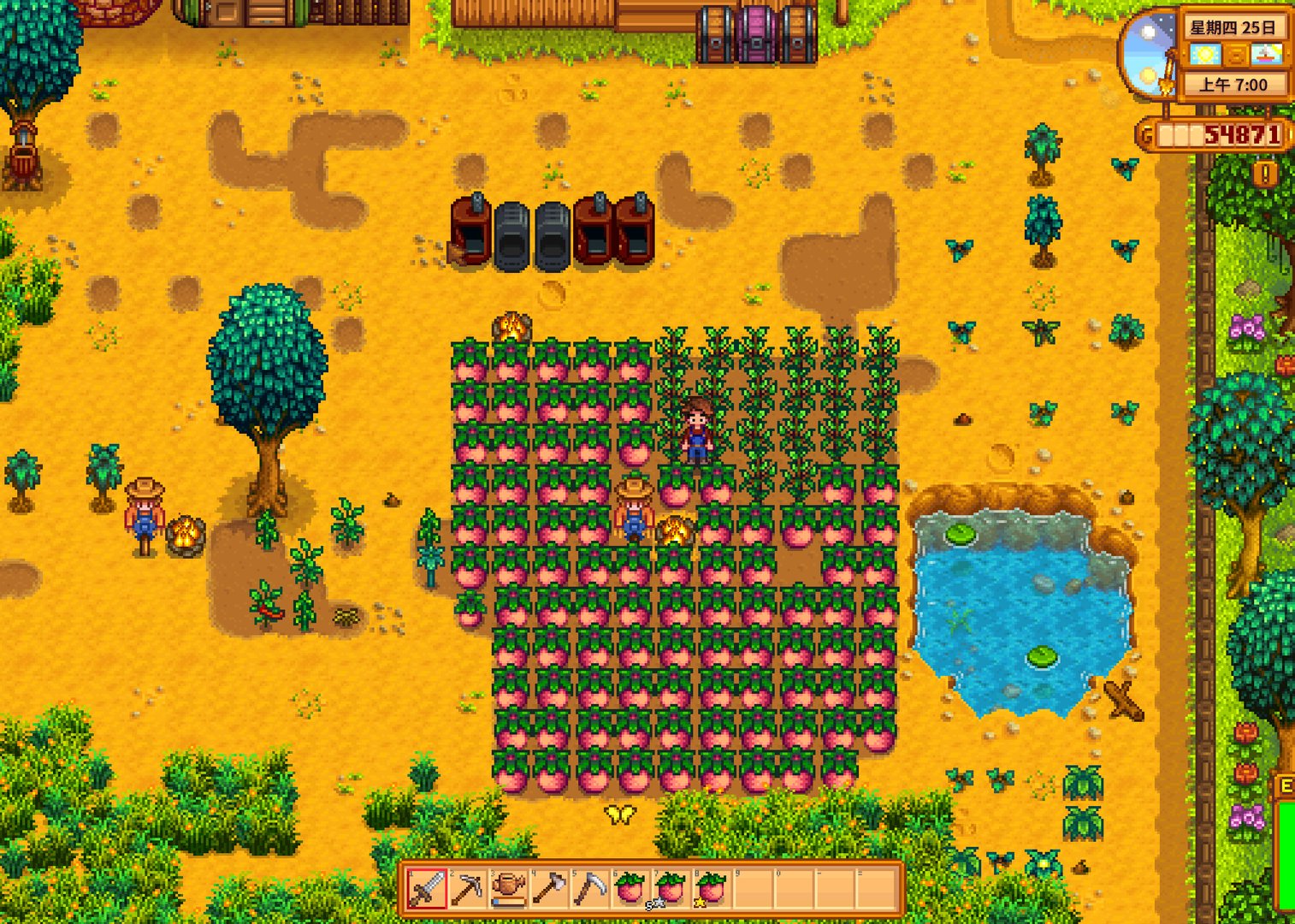 CS2 完整版 截图11