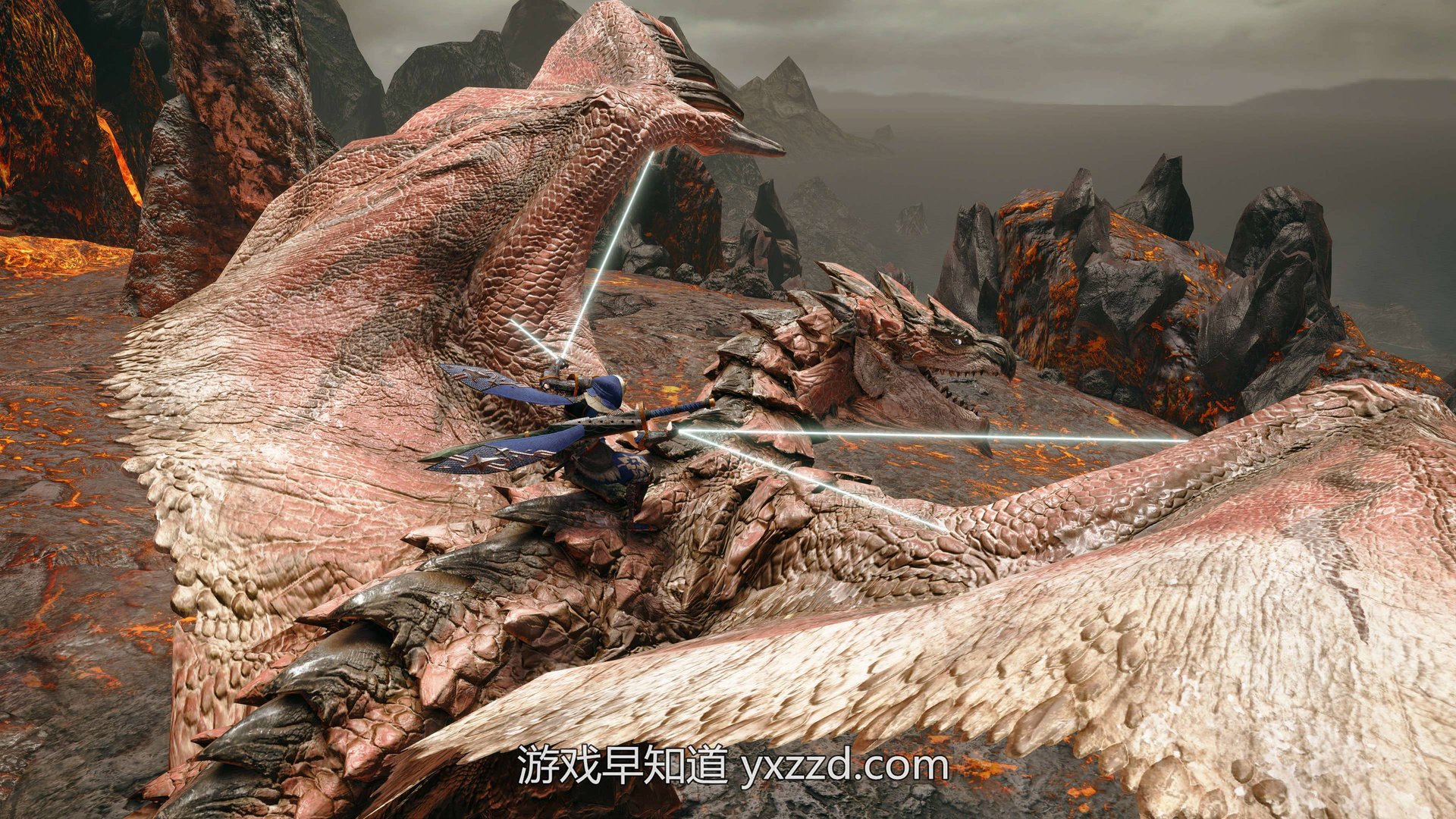 F1 2024 豪华版 截图14